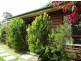 94 Leo Drive, Narrawallee NSW 2539