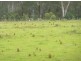 Lot 24 River Road, BROOMAN, Milton NSW 2538