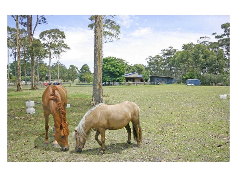 35 Princes Highway, Lake Tabourie NSW 2539