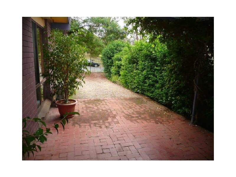 38 Alma Avenue, Fishermans Paradise NSW 2539