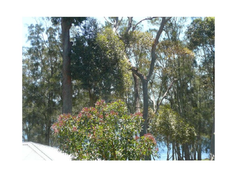 16 Harold Street, Kings Point NSW 2539