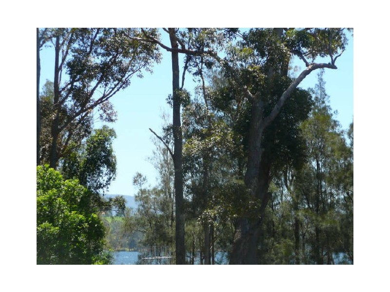 16 Harold Street, Kings Point NSW 2539