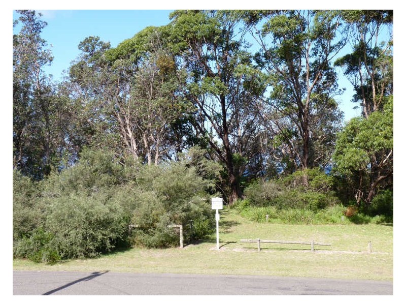 55 Matron Porter Drive, Narrawallee NSW 2539