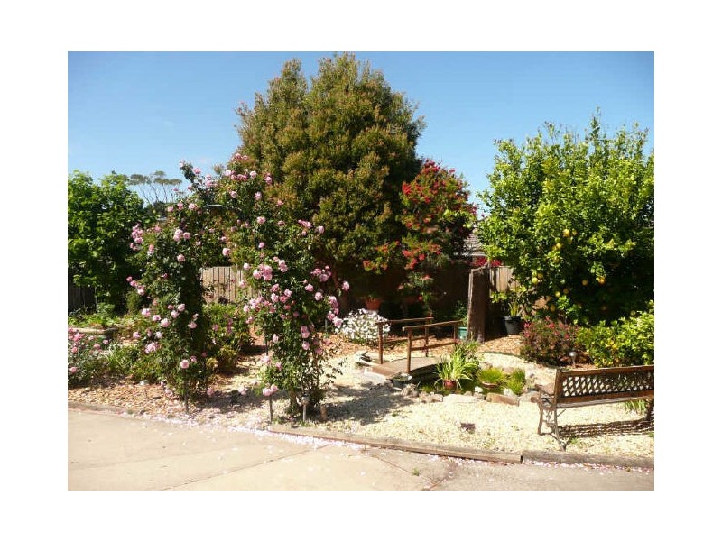 12 Hollywood Avenue, Ulladulla NSW 2539