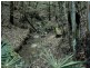 Lot 45 Old Princes Highway, Termeil NSW 2539