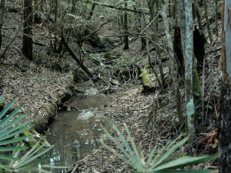 Lot 45 Old Princes Highway, Termeil NSW 2539