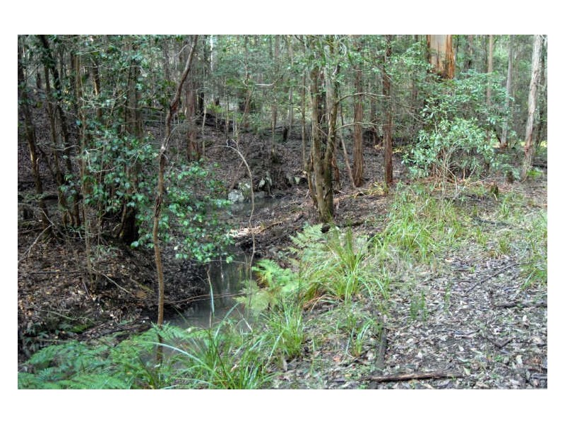 Lot 45 Old Princes Highway, Termeil NSW 2539