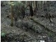 Lot 45 Old Princes Highway, Termeil NSW 2539