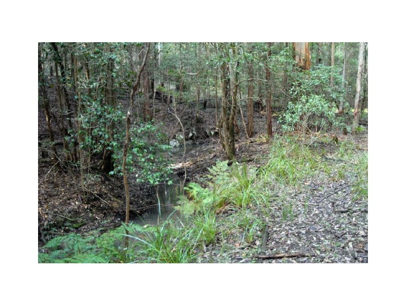 Lot 45 Old Princes Highway, Termeil NSW 2539