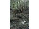 Lot 45 Old Princes Highway, Termeil NSW 2539