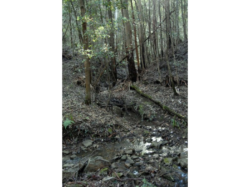 Lot 45 Old Princes Highway, Termeil NSW 2539