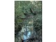 Lot 45 Old Princes Highway, Termeil NSW 2539