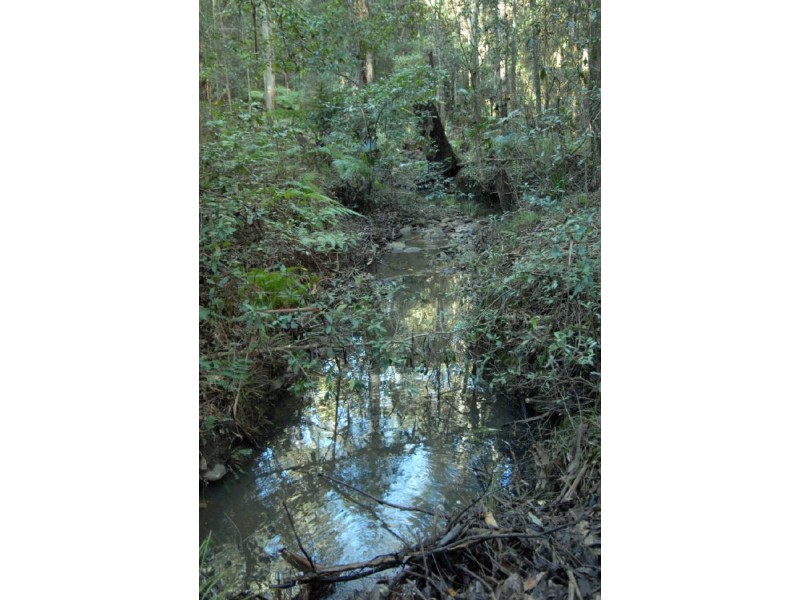 Lot 45 Old Princes Highway, Termeil NSW 2539
