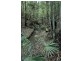 Lot 45 Old Princes Highway, Termeil NSW 2539