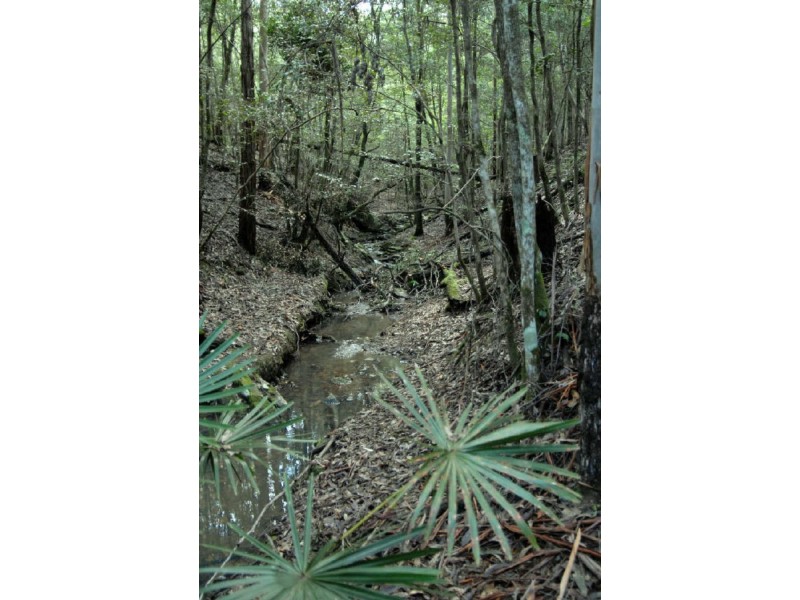 Lot 45 Old Princes Highway, Termeil NSW 2539