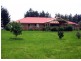 Milton NSW 2538