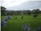Milton NSW 2538