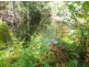 Lot 44 Old Princes Highway, Termeil NSW 2539