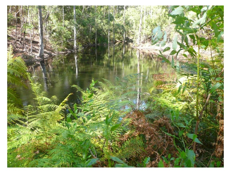 Lot 44 Old Princes Highway, Termeil NSW 2539