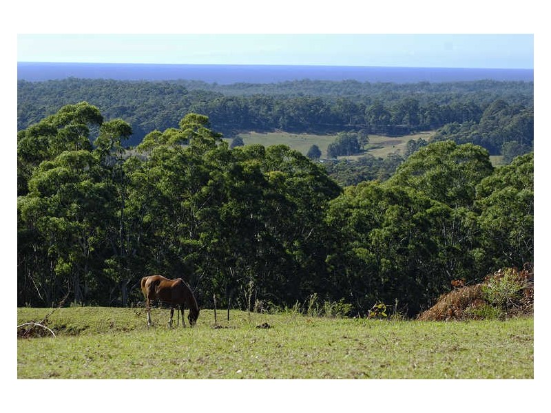 Lot 44 Old Princes Highway, Termeil NSW 2539