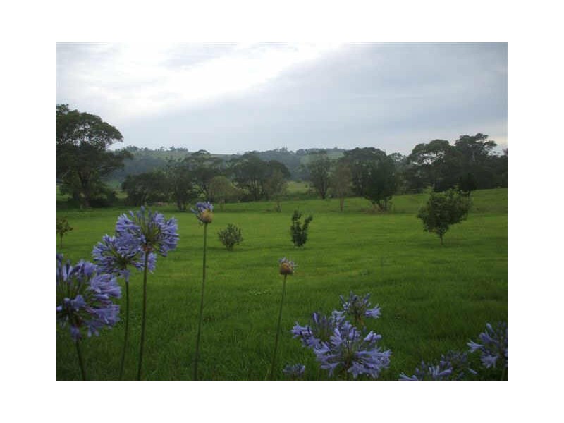 E153B Princes Highway, Milton NSW 2538