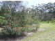 96 Bawley Point Road, Bawley Point NSW 2539