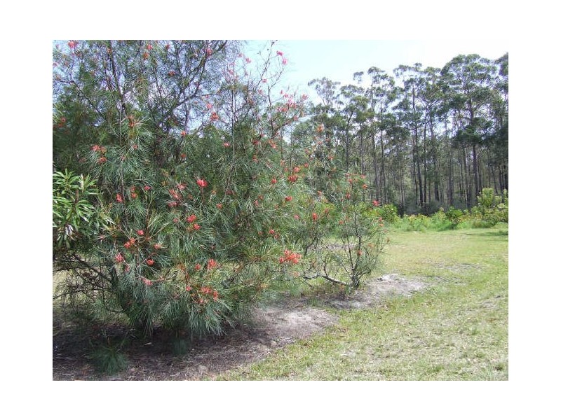 96 Bawley Point Road, Bawley Point NSW 2539