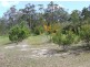 96 Bawley Point Road, Bawley Point NSW 2539