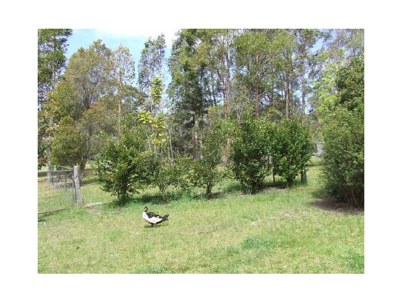 96 Bawley Point Road, Bawley Point NSW 2539
