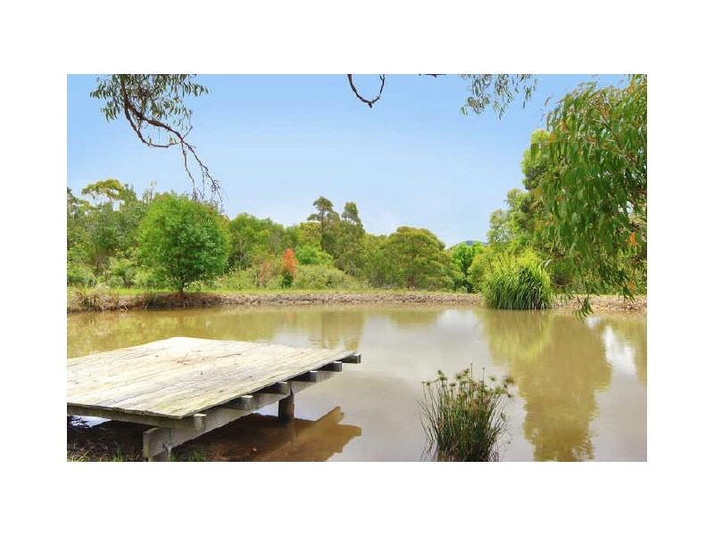 96 Bawley Point Road, Bawley Point NSW 2539
