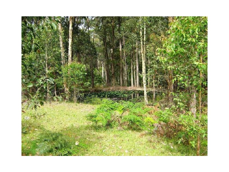 212 Bawley Point Road, Bawley Point NSW 2539