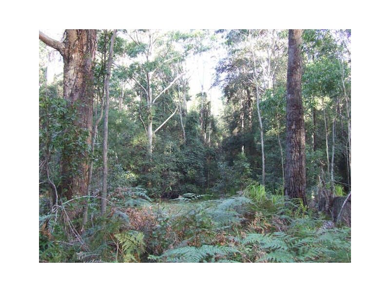 212 Bawley Point Road, Bawley Point NSW 2539