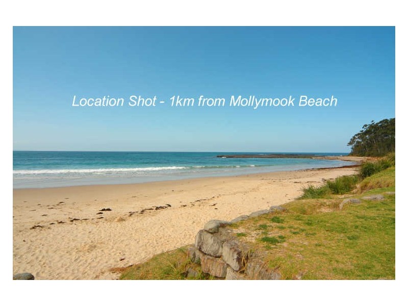 10 Ilett Street, Mollymook NSW 2539