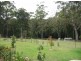 9 Brook Hollow Close, Milton NSW 2538