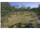 Lot 533 Bawley Point Road, Bawley Point NSW 2539