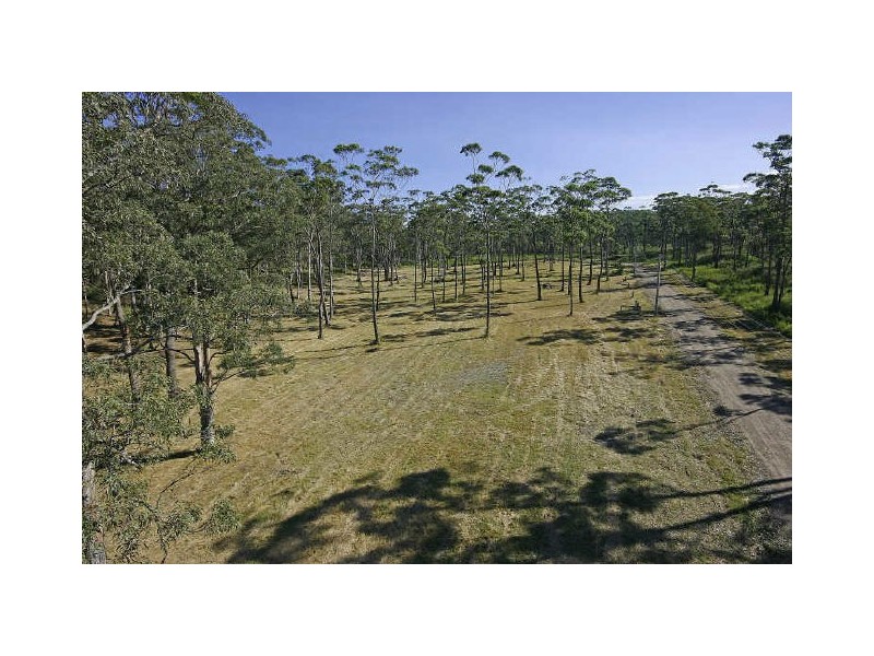 Lot 533 Bawley Point Road, Bawley Point NSW 2539