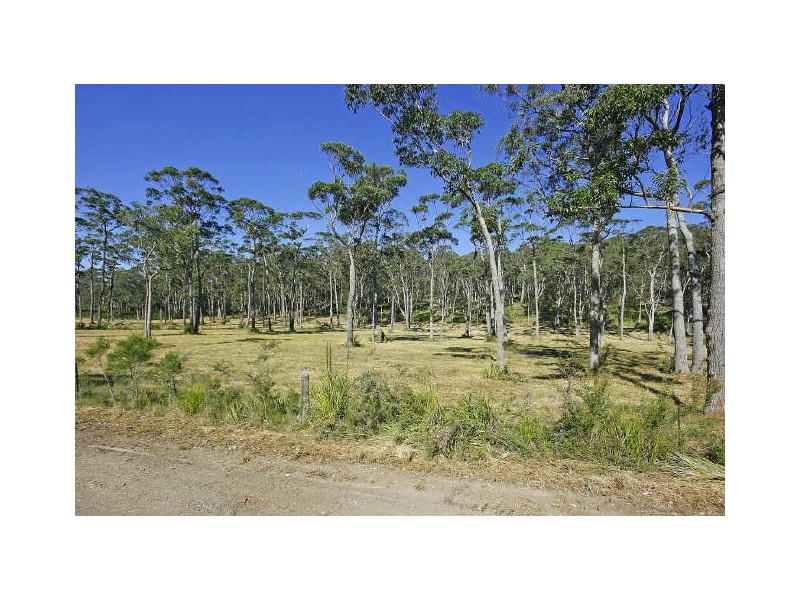 Lot 533 Bawley Point Road, Bawley Point NSW 2539