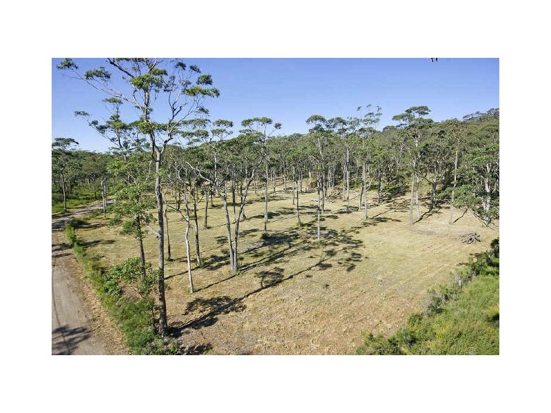Lot 533 Bawley Point Road, Bawley Point NSW 2539