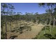 Lot 533 Bawley Point Road, Bawley Point NSW 2539