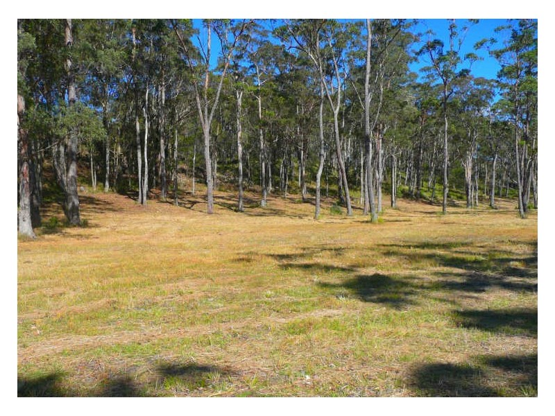 Lot 533 Bawley Point Road, Bawley Point NSW 2539