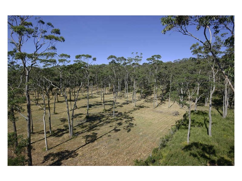 Lot 533 Bawley Point Road, Bawley Point NSW 2539
