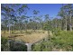 Lot 533 Bawley Point Road, Bawley Point NSW 2539