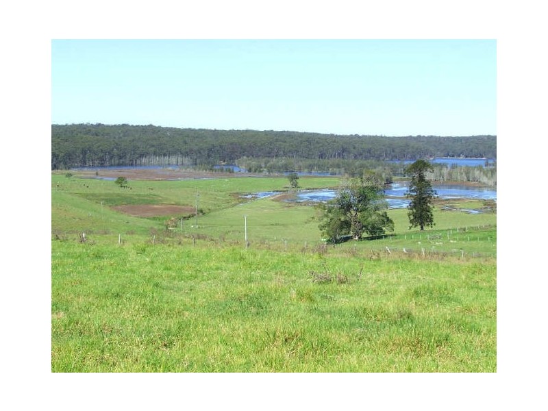 Lot 1/273 Wilfords Lane, Milton NSW 2538