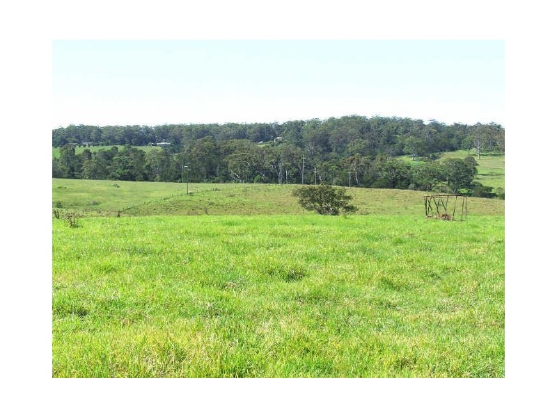 Lot 1/273 Wilfords Lane, Milton NSW 2538