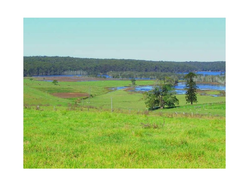 Lot 1/273 Wilfords Lane, Milton NSW 2538