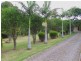 52 Voyager Crescent, Bawley Point NSW 2539