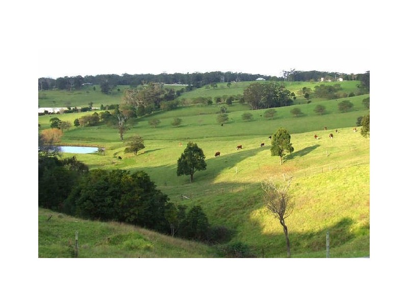 216 Princes Highway, Milton NSW 2538