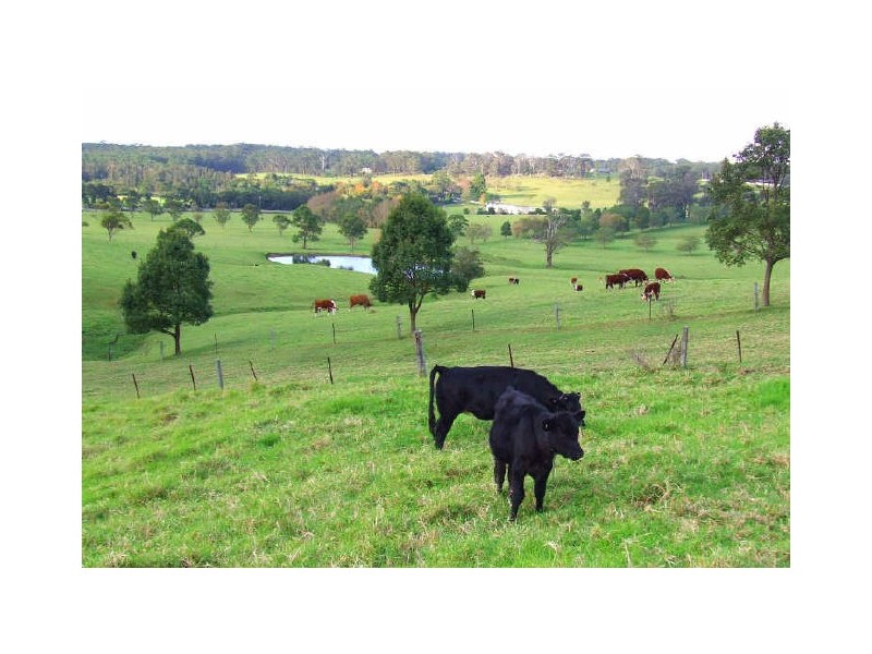 216 Princes Highway, Milton NSW 2538