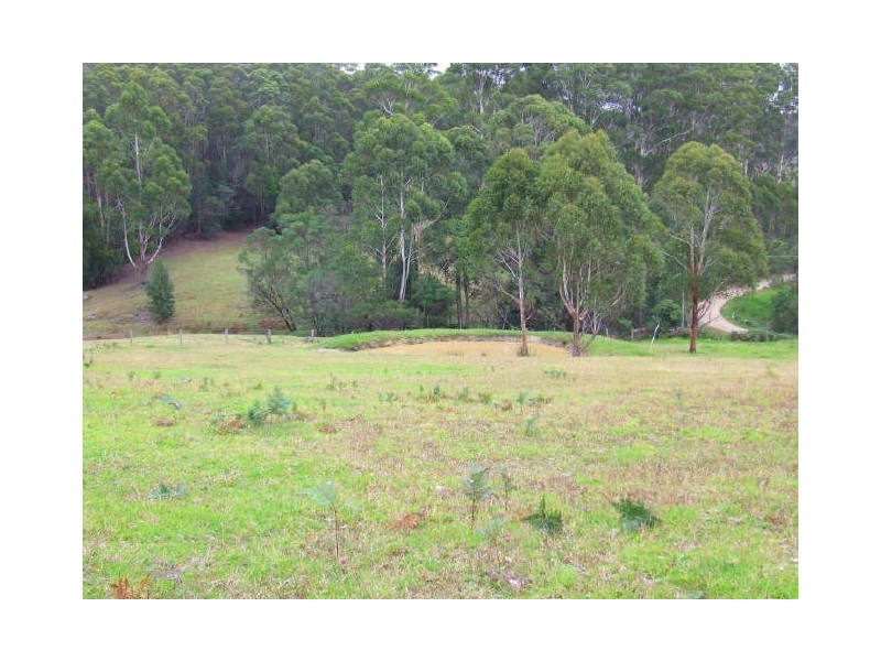 Lot 16 Tallowood Drive, Milton NSW 2538