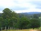 Lot 16 Tallowood Drive, Milton NSW 2538